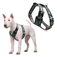 thumbnail image 1 of Pechera Para Perro Boxer Husky Labrador O Similar Talla #5, 1 of 4
