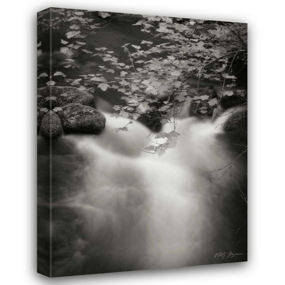 Vitaly Geyman 19x24 Gallery Wrapped Canvas Wall Art Titled - Flowing Waters III