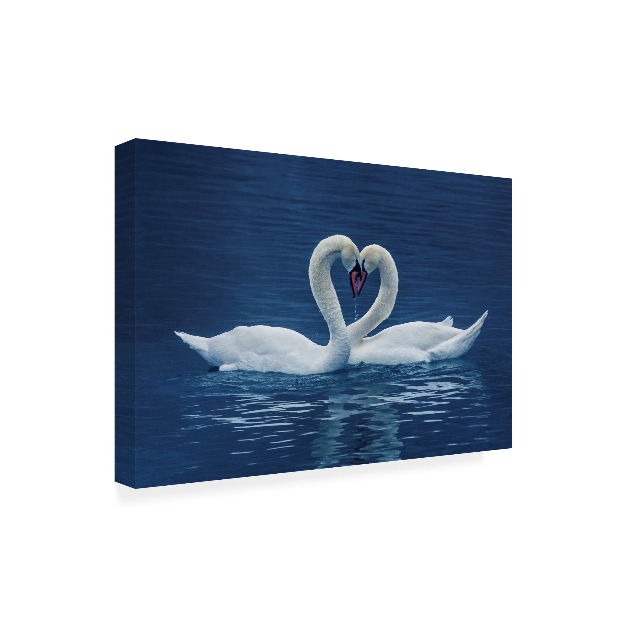 Trademark Fine Art UU CP Canvas Wall Art