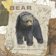 thumbnail image 2 of Phillips, Anita 12x12 White Modern Wood Framed Museum Art Print Titled - Bear Sleep, 2 of 4