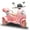 Pink, variant on Okybaby 12V Kids Ride On 2-Seater Motorcycle with Dual Motors, 3 Wheels Electric Motorcycle with Bluetooth, Music, USB, LED Light, Battery Powered Ride on Toy Car for Kids Aged 3-6, Rose Red