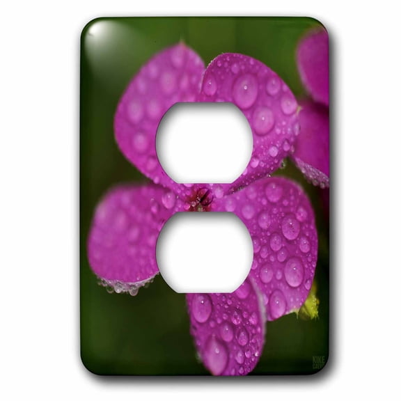 3dRose, Colorful flowers, 2 plug outlet cover