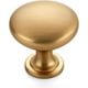 thumbnail image 1 of Ravinte 20 Pack Kitchen Cabinet Knobs Gold Zinc Knobs Drawer Pulls Door Dresser Drawer Handles Knobs for Dresser Drawers, 1 of 5