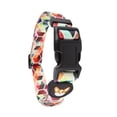 thumbnail image 2 of Collar Para Perro Pet It! Modelo Estambul Chico 24-38 cm, 2 of 3