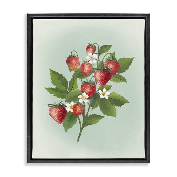 Stupell Industries Traditional Vintage Strawberry Bundle Black Floating Frame Canvas Art, 17 x 21, by Diane Neukirch