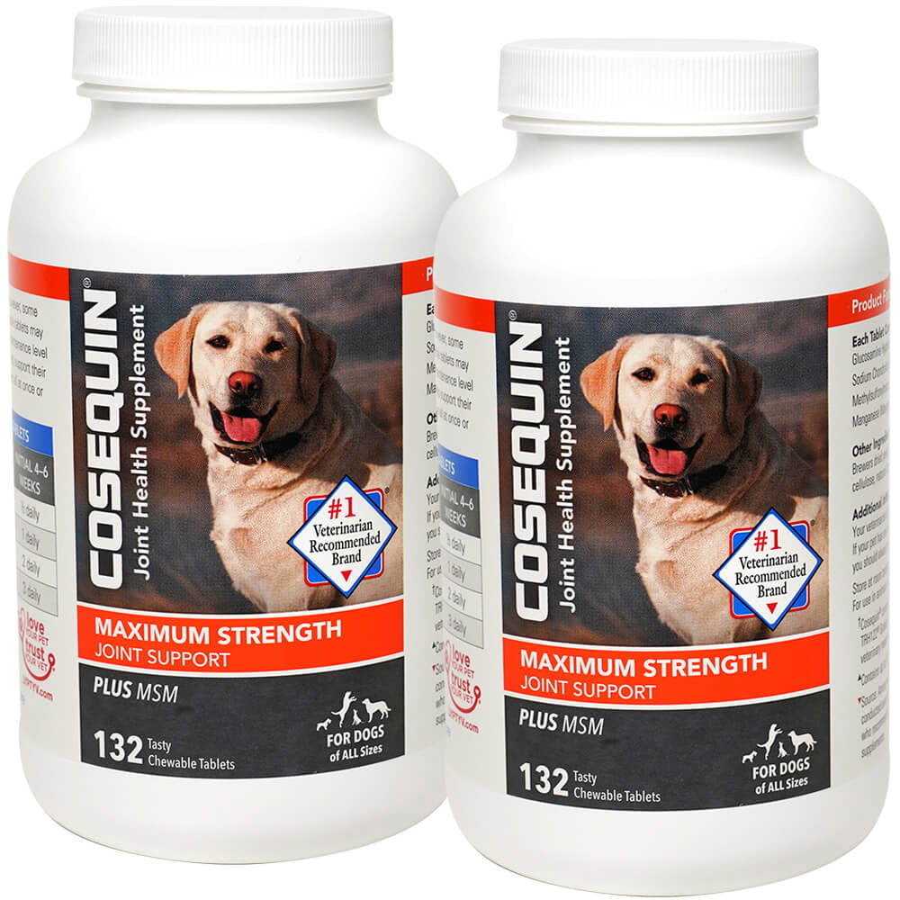 cosequin-ds-plus-msm-for-dogs-132-chew-tablets-2-pack-walmart