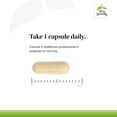 thumbnail image 5 of Terry Naturally Zinc Plus Selenium - 60 Capsules - Immune Support, Respiratory Function, 5 of 8