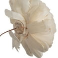 thumbnail image 3 of Vickerman Natural Botanicals 4" Charki Skin Sola Flower 12" Stem 12 Stem per Bag, 3 of 3