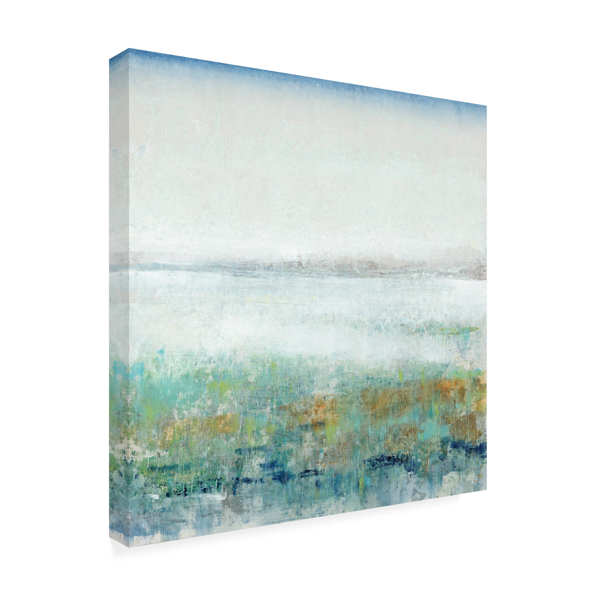 Trademark Fine Art 'Turquoise Mist II' Canvas Art by Tim OToole