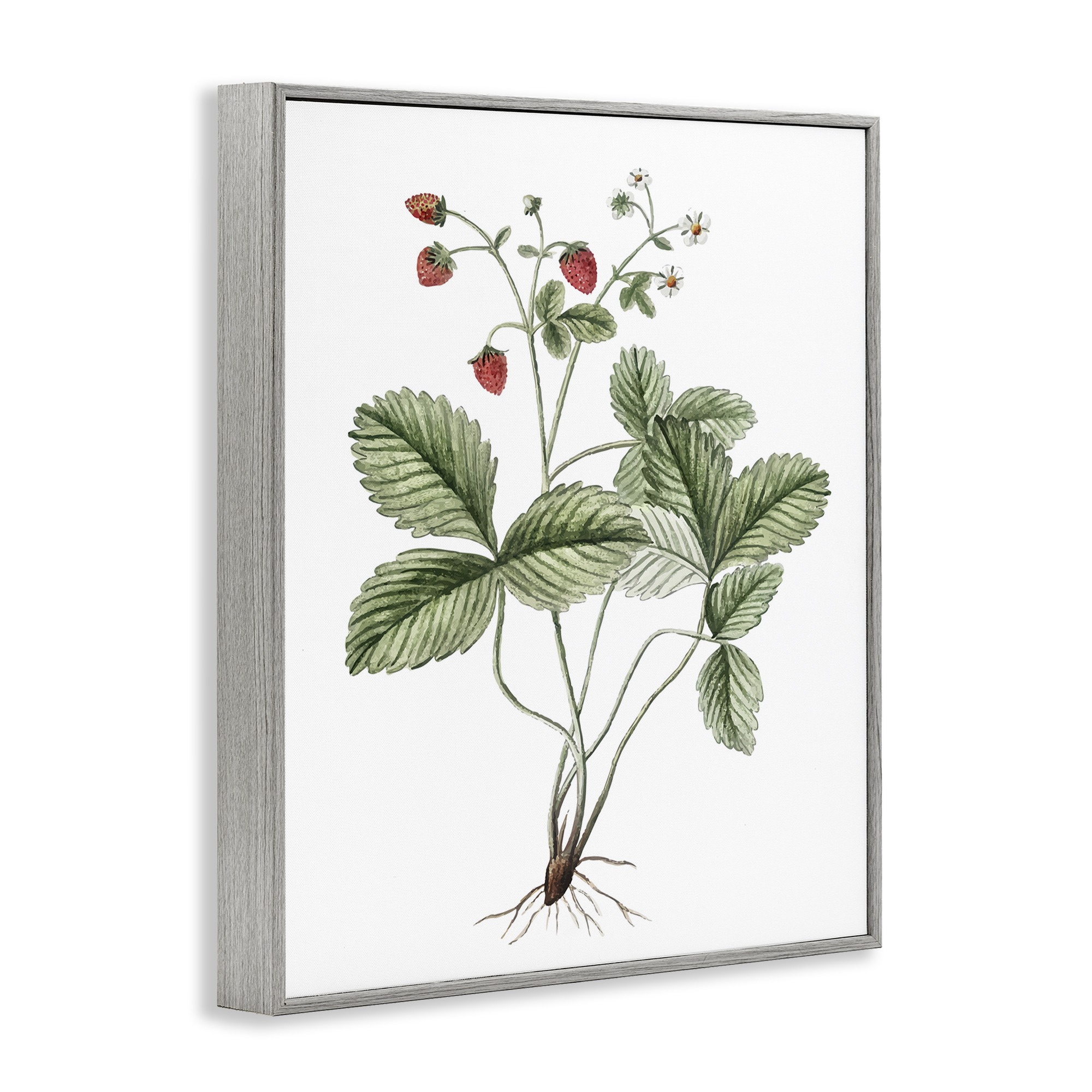 Stupell Industries Budding Strawberries Study Food & Beverage Painting Gray Framed Art Print Wall Art, 16 x 20