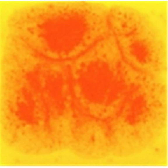 Sax True Flow Non-Toxic Crystal Magic Glaze - 1 Pt. - Citrus Splash