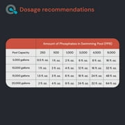 AquaDoc Pool Phosphate Remover - 64 oz - Concentrated Phosphate Remover for Pool Opening & Maintenance - Made in the USA