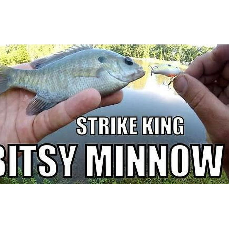 Strike King Bitsy Pond Minnow Crankbait Chartreuse Black Hard Bait Lure