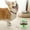Pet Puzzle Feeder Under $5 A8360, variant on kkbbma under $5 Pet Puzzle Feeder, Pet Wobble Feeder, Interactive CatToy, Dog Puzzle Feeder, Slow Feed Pet Bowl, Treat DispensingToy, Pet Food Puzzle, Mental StimulationToy, Cat Dog Feeder