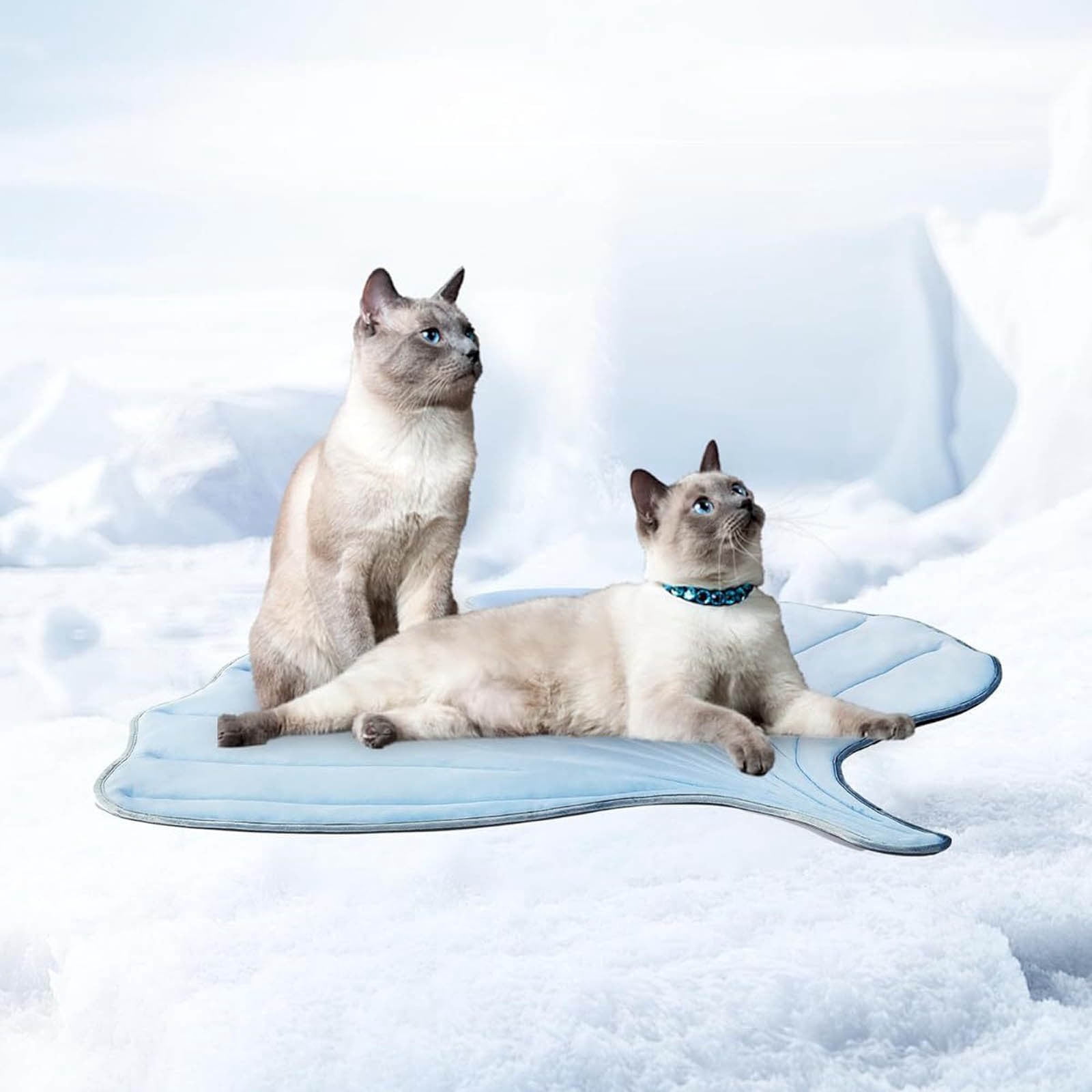 Double-Sided Leaf Pet Mat - Super Soft Dog & Cat Bed for Indoor & Outdoor Use | Machine Washable Cooling Pad for Small to Large Pets | Portable Camping Mat for Puppies & Cats