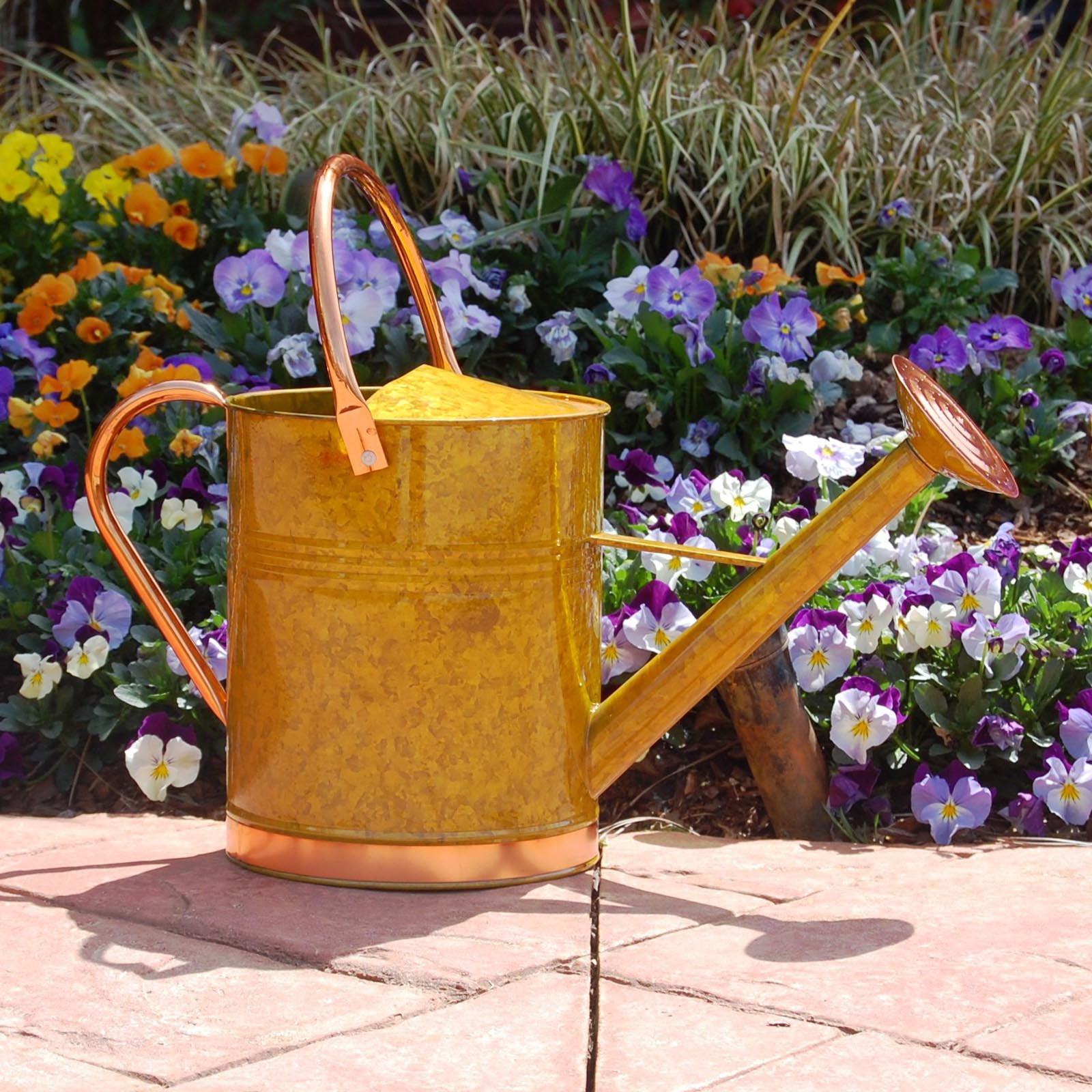 Austram-Griffith Creek Designs Deluxe Watering Can with Copper Accents by Austram Inc