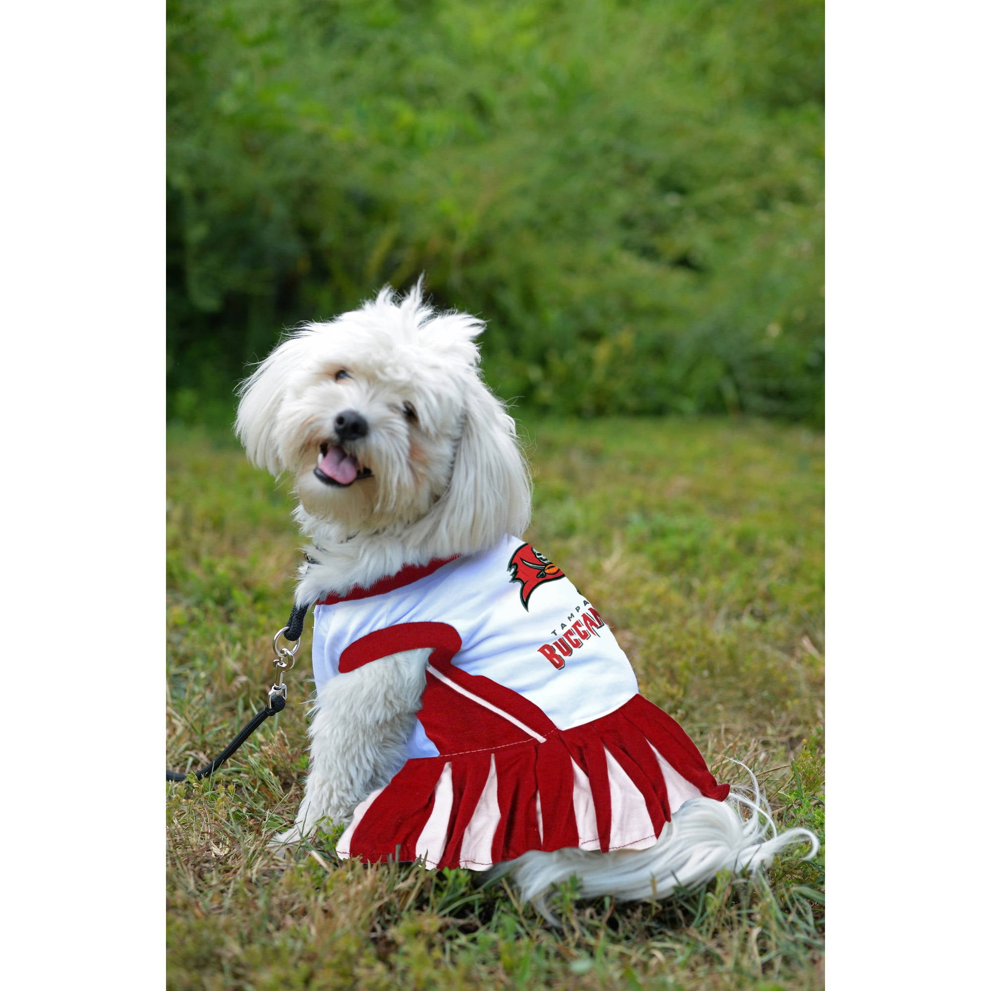 Pets First NFL Tampa Bay Buccaneers Cheerleader Outfit 3 Sizes Pet Dress Available. Licensed Dog Outfit Walmart