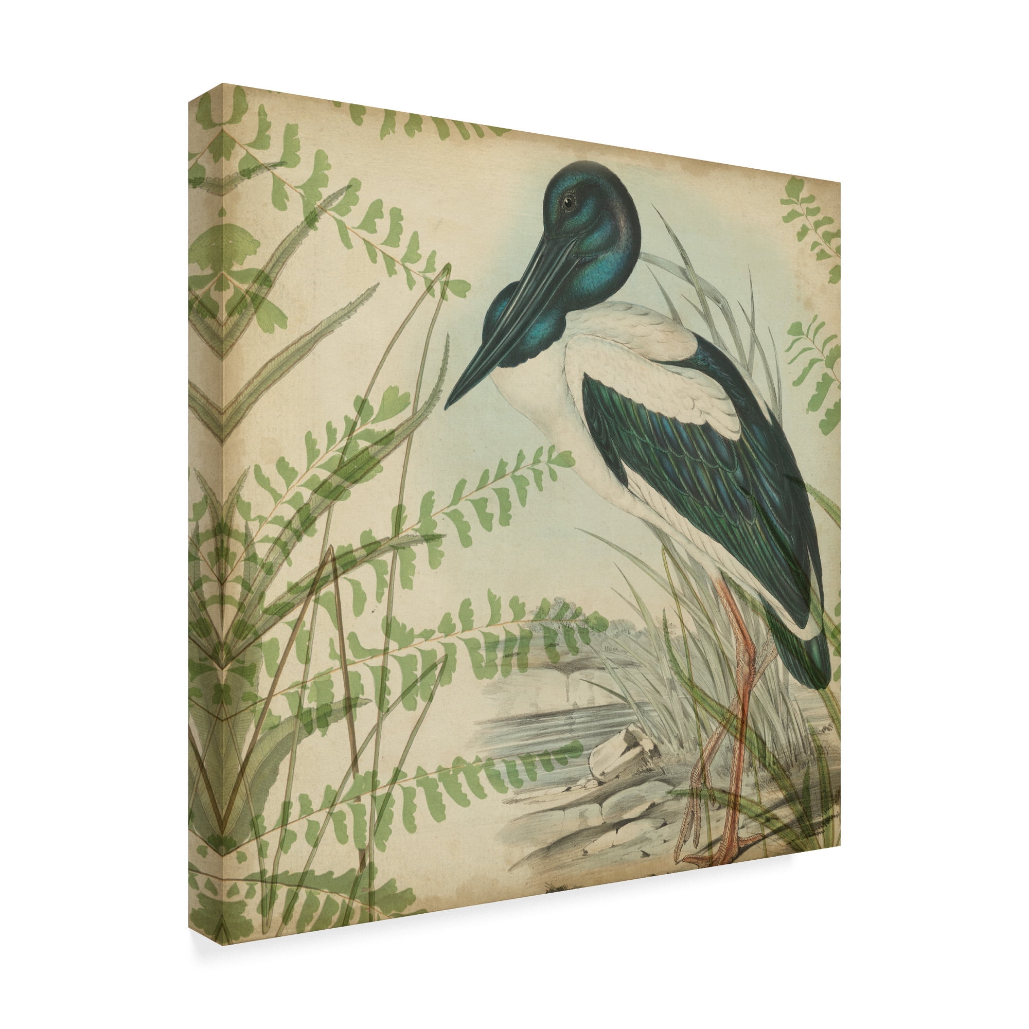 Trademark Fine Art 'Heron And Ferns I' Canvas Art by Vision Studio