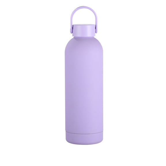 Portable Vacuum Insulated Water Bottle with Handle, Leak Proof Outdoor Sports Bottle, Reusable Thermal Cup for Hiking Gym Travel