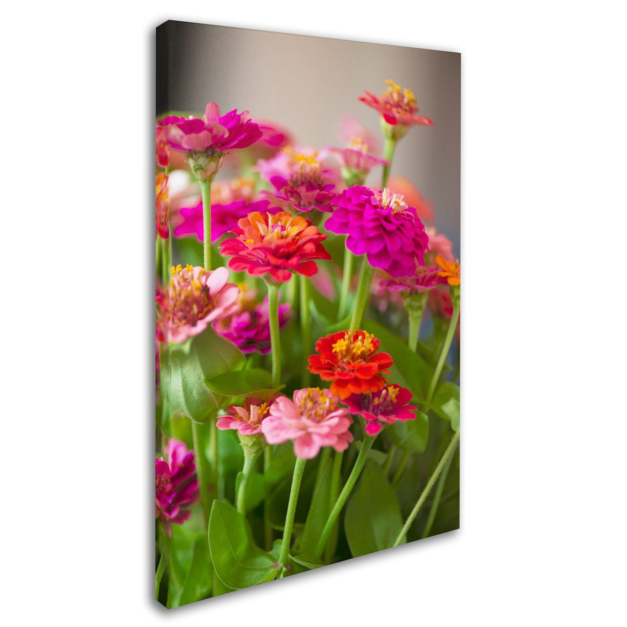 Trademark Fine Art "Meaning of Love" Canvas Art by Philippe Sainte-Laudy