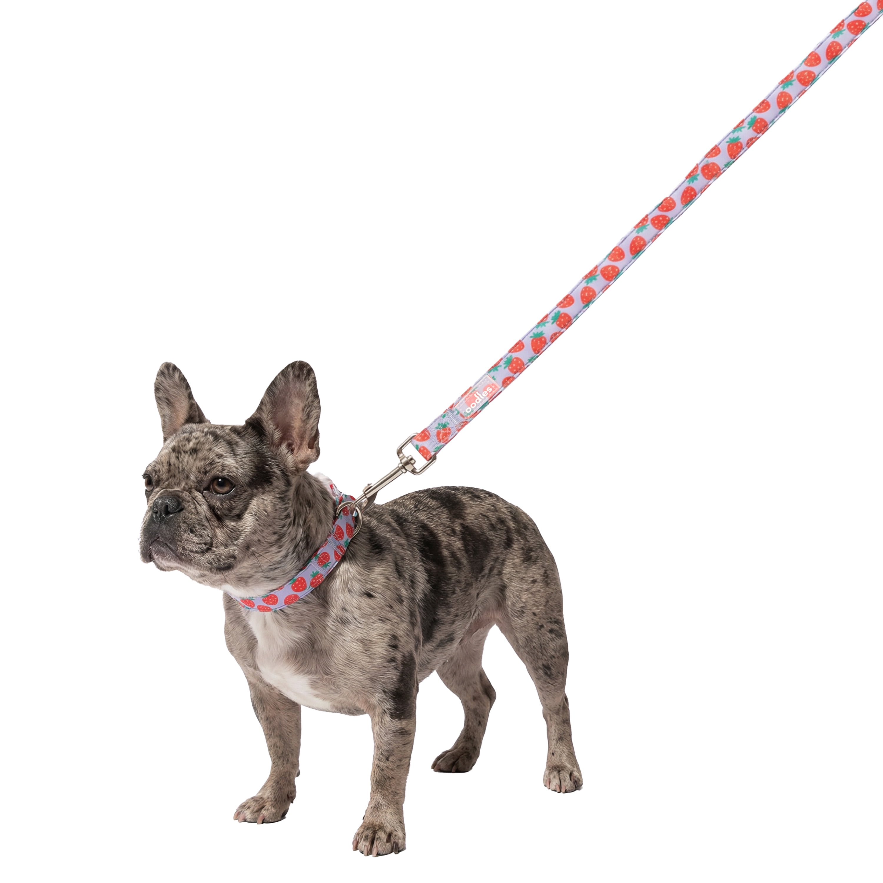 Oodles Purple Strawberry Print Dog Walking 3 Piece Set, Small