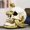 White, variant on Halloween Skull & Snake LED Light Up Decor, Resin Skeleton Head Figurine with Golden Serpent & Glowing Eye, Spooky Tabletop Ornament for Haunted House Party Home Bar
