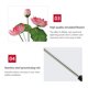thumbnail image 3 of Lámpara 2pcs 4LED Lawn Light Solar Lotus Ground Plug Lights (rosa sin Lotus Pod) Ehuebsd Para estrenar, 3 of 9
