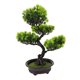 thumbnail image 1 of unbranded Árbol Pino Artificial En Maceta Para Decorar Interior Con Textura Y Resistencia Duradera, 1 of 5