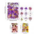 thumbnail image 4 of Paquete Flores Secas Naturales Prensadas Para Manualidades Modelo 1, Multicolor, 4 of 5