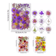 thumbnail image 4 of Paquete Flores Secas Naturales Prensadas Para Manualidades Modelo 1, Multicolor, 4 of 5