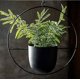 thumbnail image 5 of Maceta colgante de metal, cesta colgante negra para fijación a pared y techo, clorofito, suculentas verdes, plantas artificiales redondas (hy), 5 of 5