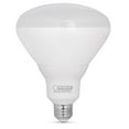 thumbnail image 2 of Feit 3001217 LED R40 E26 Medium LED Bulb Daylight - 300W Equivalence, 2 of 3