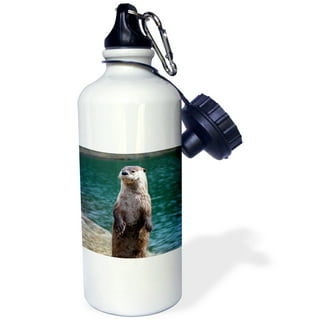 12oz Kid's Bottle with Straw Lid - California Sea Otter - FIFTY