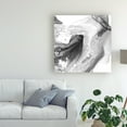 thumbnail image 3 of Trademark Fine Art 'Smoke And Water IV' Canvas Art by Ethan Harper, 3 of 3
