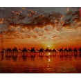thumbnail image 2 of Golden Sunset On Cable Beach, Australia, a 1000-piece Puzzle by Educa, 2 of 2