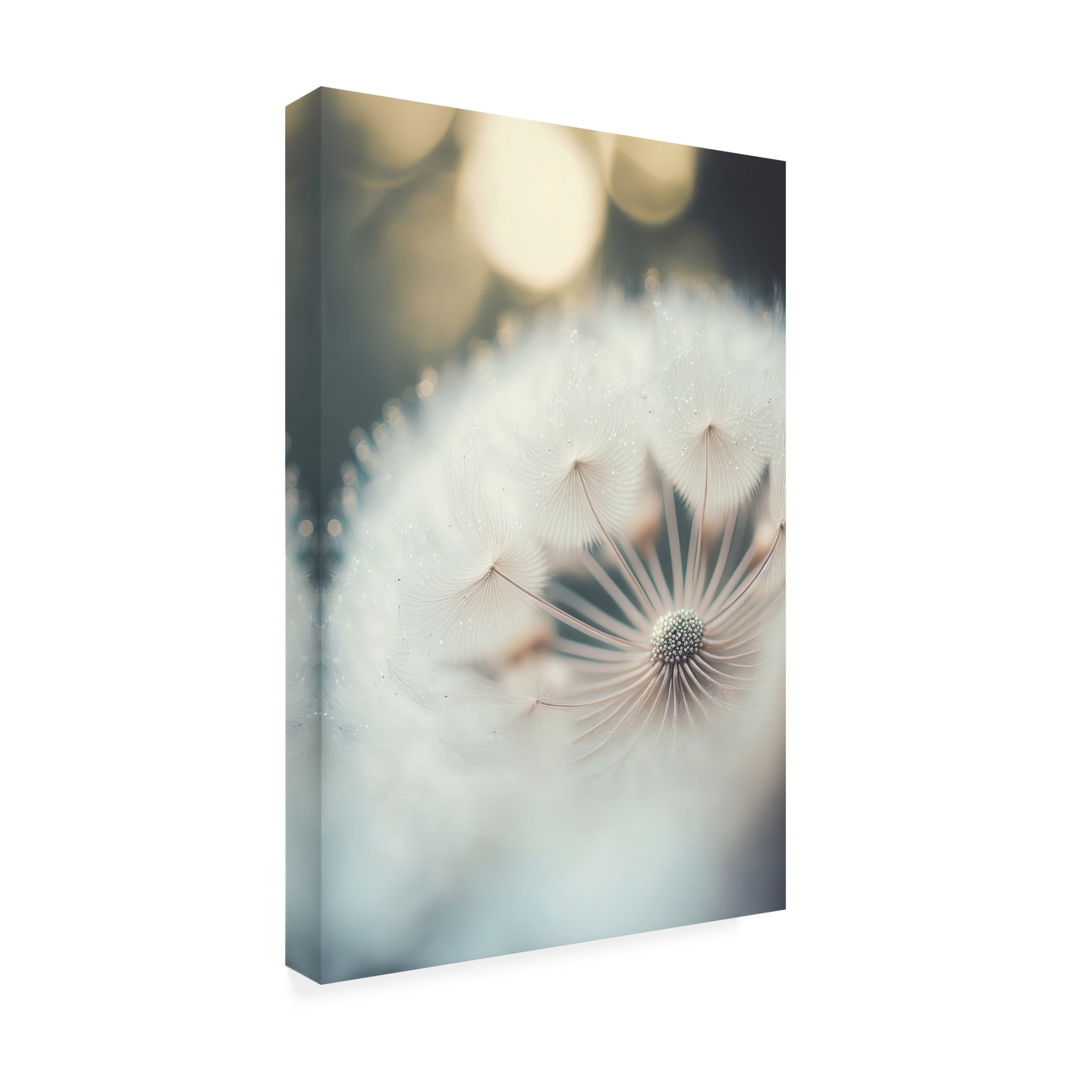 Canvas Wall Art - Treechild 'Filigree Nature' Wall Art for Living Room, Bedroom, or Office D?cor by Trademark Fine Art - 16 x 24 Inches