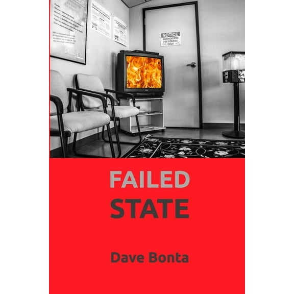 Failed State: haibun, (Paperback)