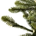 thumbnail image 3 of Vickerman 6' x 48" Alberta Spruce Artificial Christmas Tree with Warm White Dura-lit LED Lights, 3 of 7