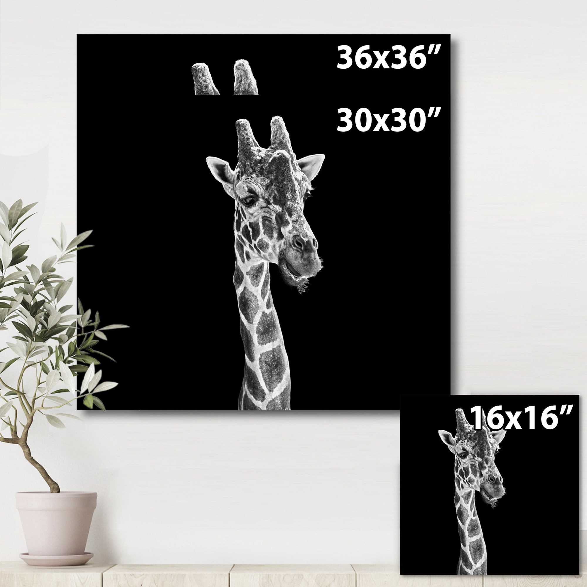 Designart ' Close Up Portrait Of A Giraffe On Black II ' Farmhouse Canvas Wall Art Print