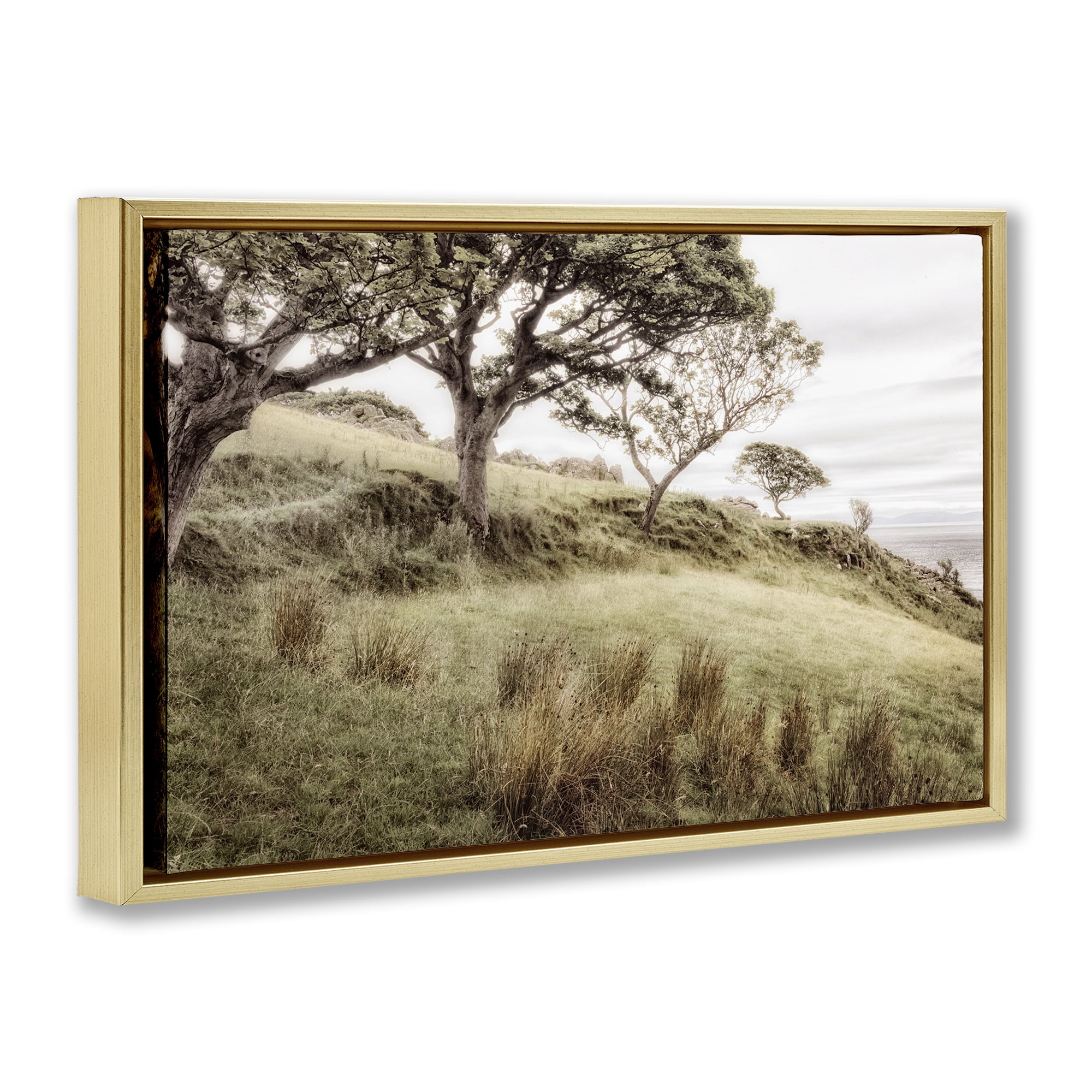Stupell Industries Irish Hillside Landscape Gold Framed Floater Canvas Wall Art, design by Andy Amos