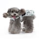 thumbnail image 4 of Falda De Encaje Para Gatos, Fácil De Limpiar, Linda Flor, Gancho Cómodo Y Vestido Para Mascotas Para Primavera Para Perros ANGGREK  Otros, 4 of 8
