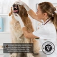 thumbnail image 4 of Dog Ball With Dental Care Function Knobs Dog Toy Made Of Natural Rubber - Robust Dog Ball ø 7cm - Dog Play Ball For Large And Small Dogs - Chew Toy Made Of Natural Rubber For Treats, 4 of 6