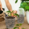 thumbnail image 5 of 5/10PCS Clear Seedling Nursery Pots with Breathable Cover Seed Starting Grow Cup Flower Plant Containers Garden Vegetable Pot, 5 of 9