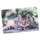 thumbnail image 1 of Estera plegable de doble capa para gatos Yuyangstore impermeable Colchoneta para perros, 1 of 7