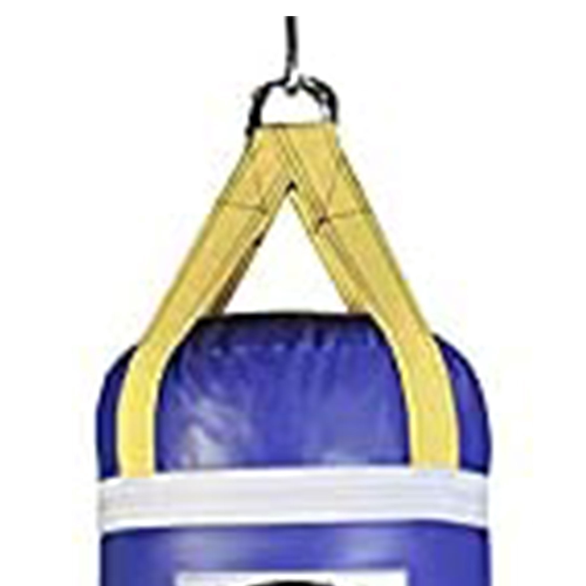 PROLAST 100 Lb Boxing Training Filled Heavy Hanging Punching Bag, Blue