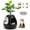 BLACK, variant on COZIWOW Copod8 Cat Cave, 3-in-1 Cat House Condo with Plant, Cat Cushioned Bed, Cat Scratchers, Modern Cat Pet Furniture for Indoor, Cat Hiding Spot, Black
