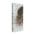 thumbnail image 2 of Trademark Fine Art 'Plume Feathers V Crop II' Canvas Art by Sue Schlabach, 2 of 3