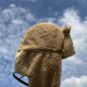 thumbnail image 4 of Women Winter Cute for Frog Eyes Fuzzy Plush Trapper Hat with Pompom Chin Strap Outdoor Windproof Fluffy Thermal Warm Solid Color Beanies Earflap Cap, 4 of 4