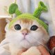thumbnail image 1 of Sombrero de animal CHAO Sombrero de gato para perro hecho a mano con dibujos animados gorro de fiesta para disfraz de animal S, 1 of 5