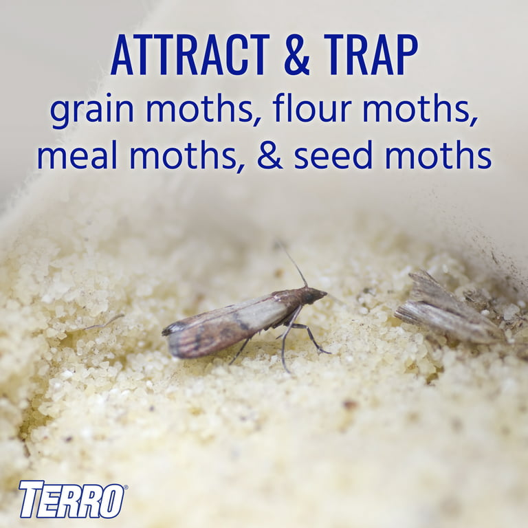 TERRO Pantry Moth Traps, 2 Pack 